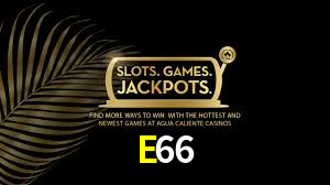 Interface Premium E66